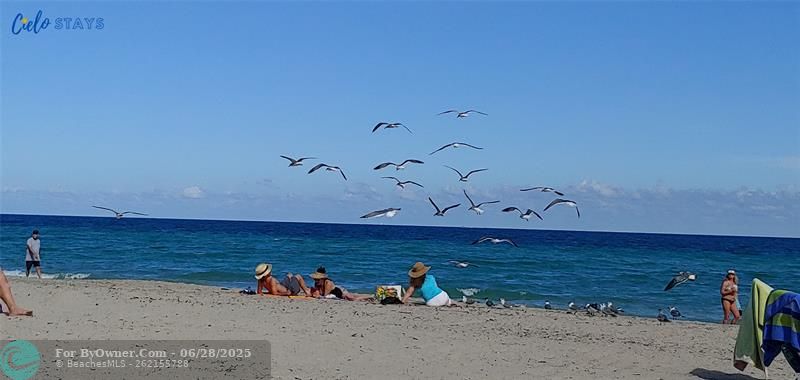 777 N Ocean Dr #S414, Hollywood, Florida image 29