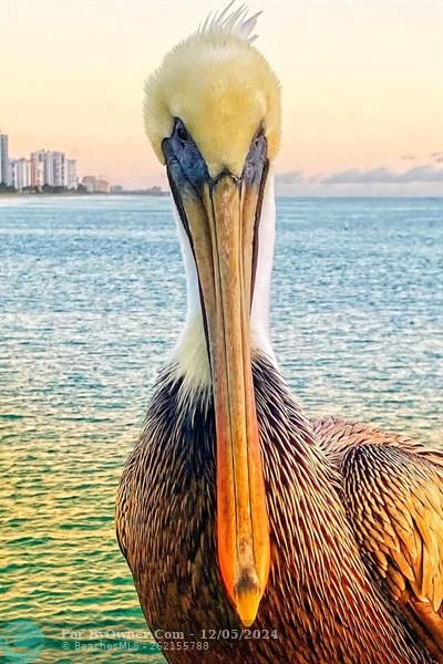 133 N Pompano Beach Blvd #806, Pompano Beach, Florida image 20