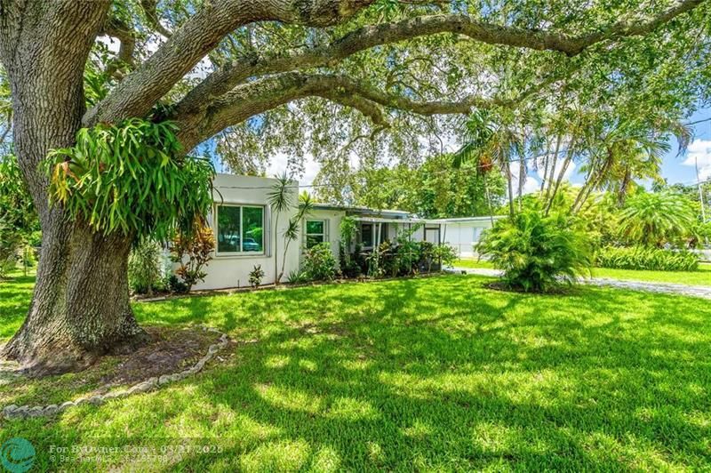 2626 Garfield St, Hollywood, Florida image 1