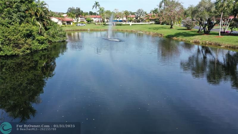 View from Sunroom
