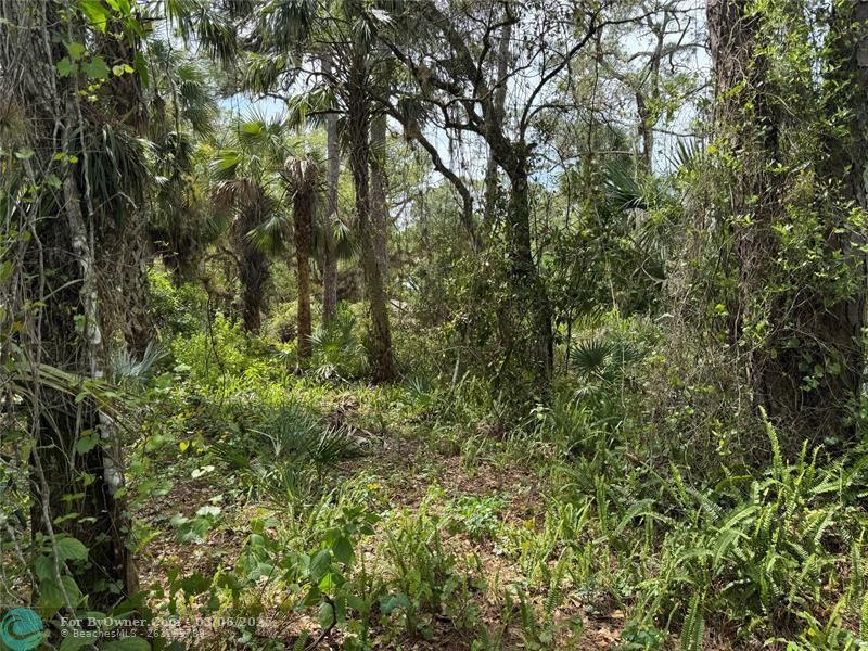 TBD Oak Hammock Lane, Fort Pierce, Florida image 8