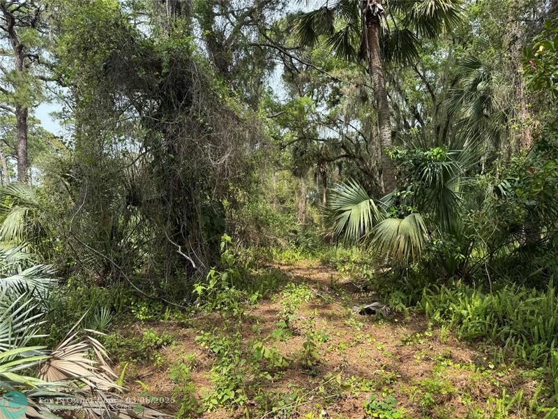 TBD Oak Hammock Lane, Fort Pierce, Florida image 10