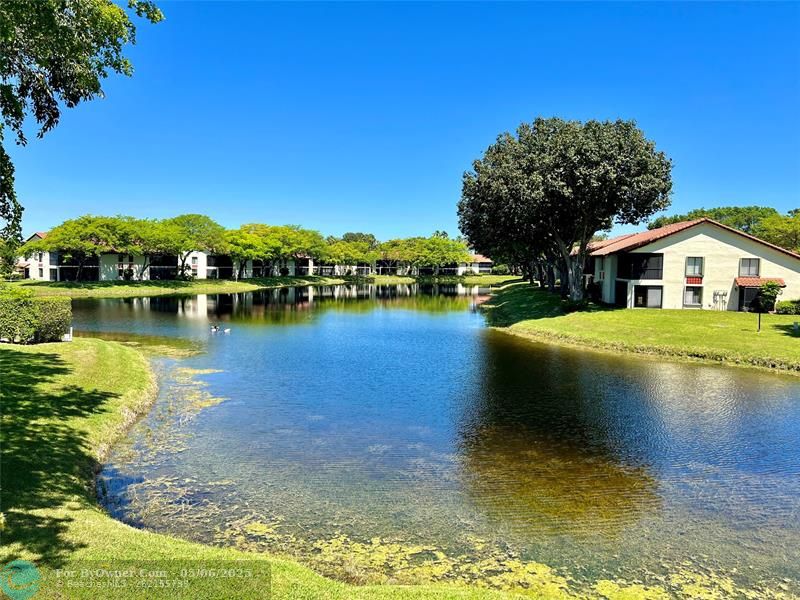 10726 Beach Palm Ct #A, Boynton Beach, Florida image 47