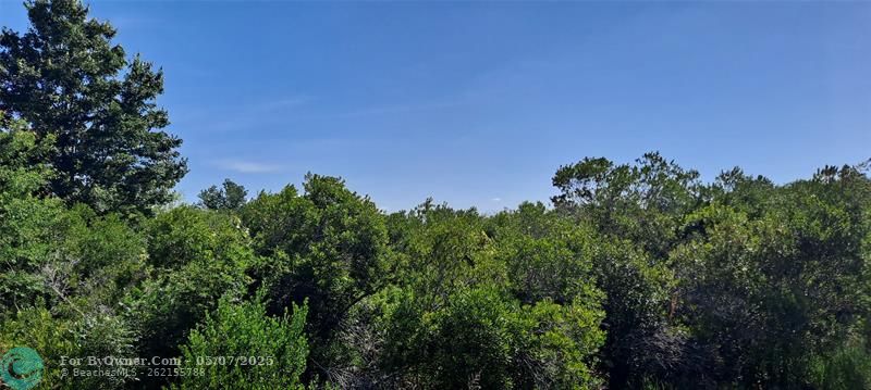 19264 NW 264th St, Okeechobee, Florida image 5