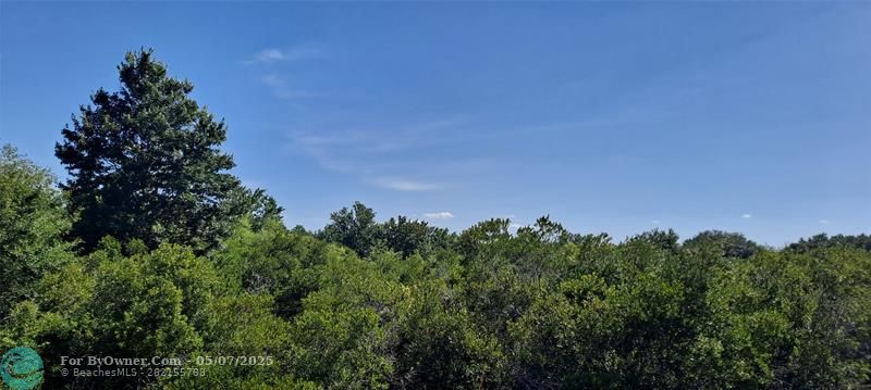19264 NW 264th St, Okeechobee, Florida image 6