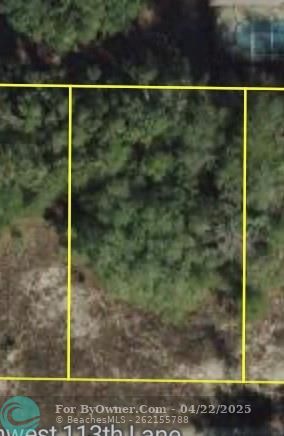 00 SW 113 Lane, Dunnellon, Florida image 3