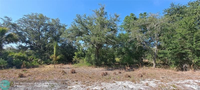 17711 NW 278th St, Okeechobee, Florida image 12