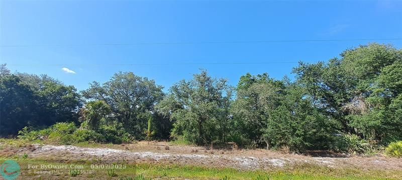 17711 NW 278th St, Okeechobee, Florida image 6