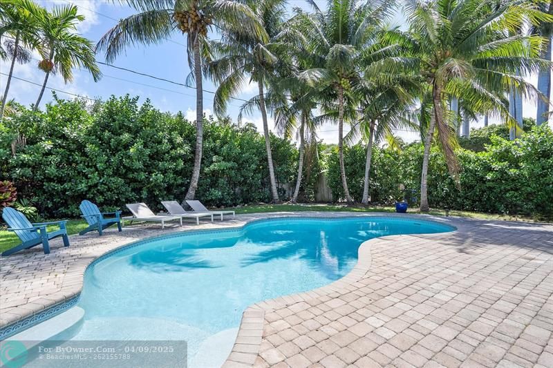 1210 Van Buren St, Hollywood, Florida image 3