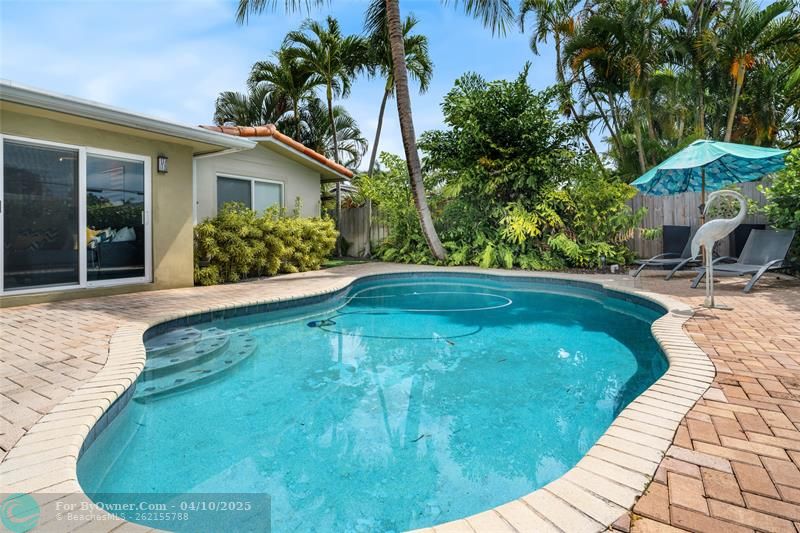 2000 NE 26th Dr, Wilton Manors, Florida image 38