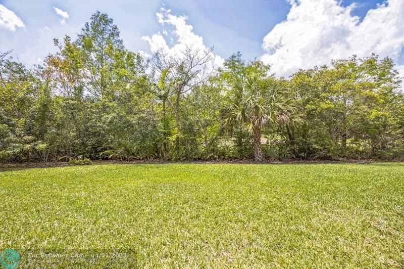 5942 NW 117th Dr, Coral Springs, Florida image 6