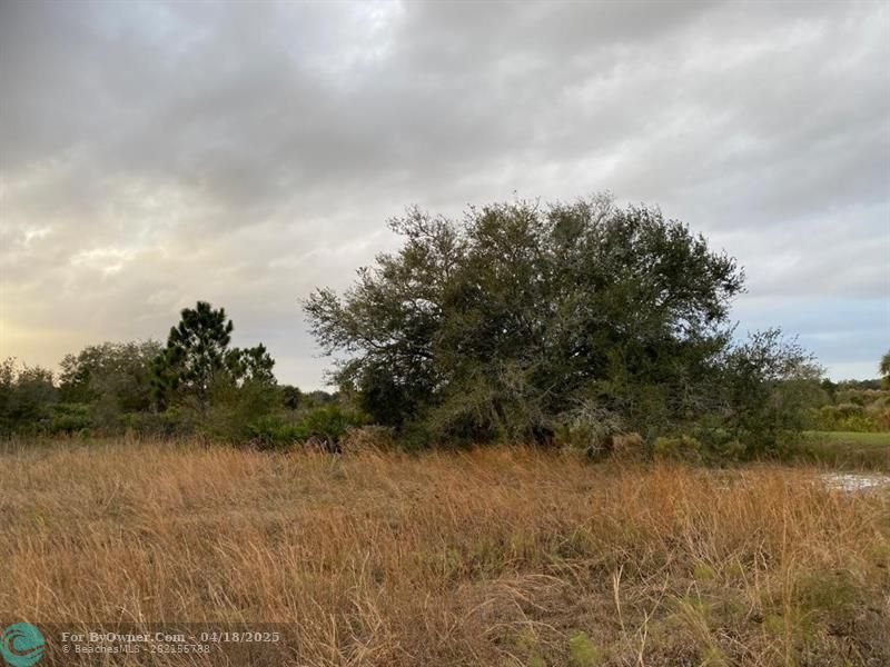NW 314th St, Okeechobee, Florida image 1