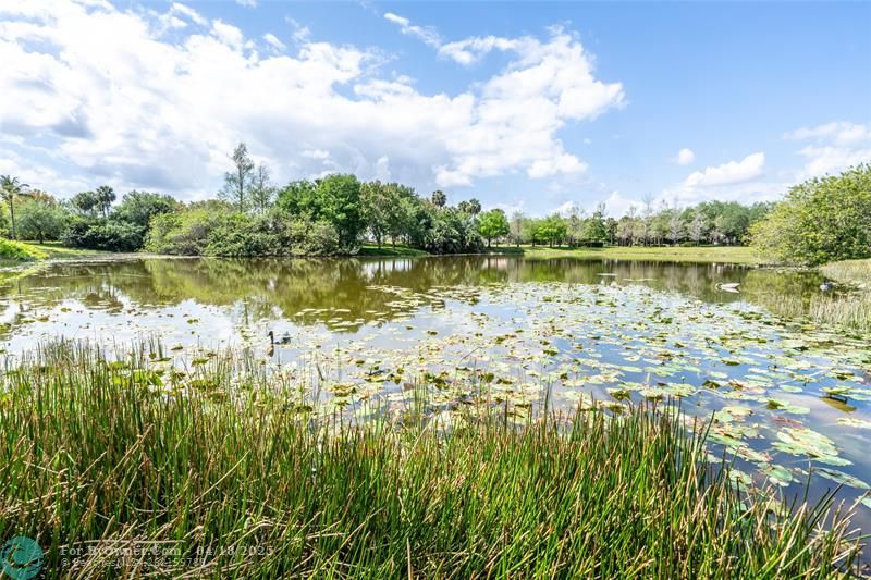10758 NW 83rd Ct, Parkland, Florida image 48