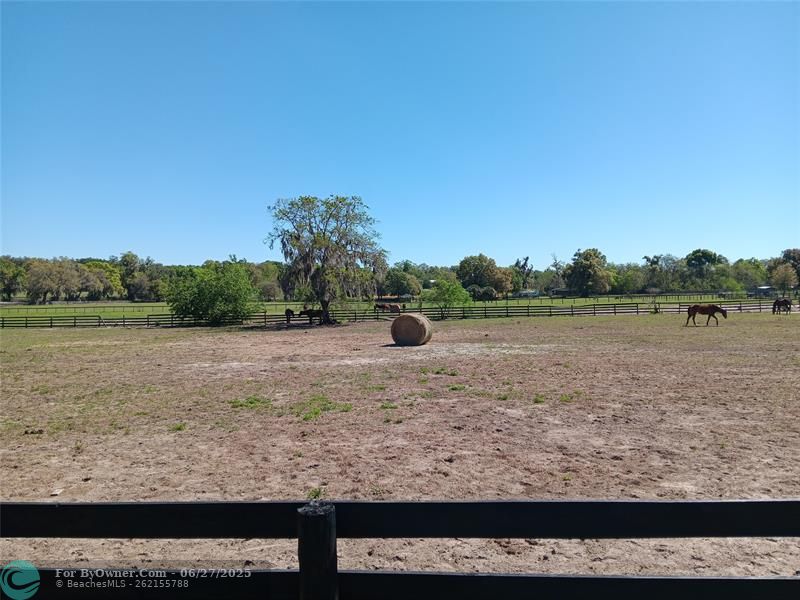 2630 NW 140th St, Citra, Florida image 15