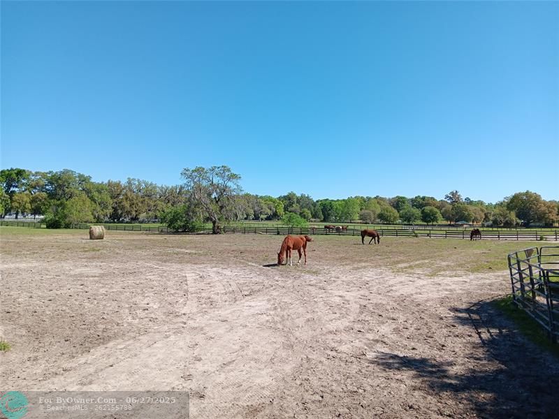 2630 NW 140th St, Citra, Florida image 19