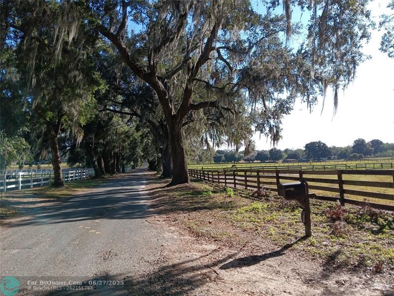2630 NW 140th St, Citra, Florida image 23