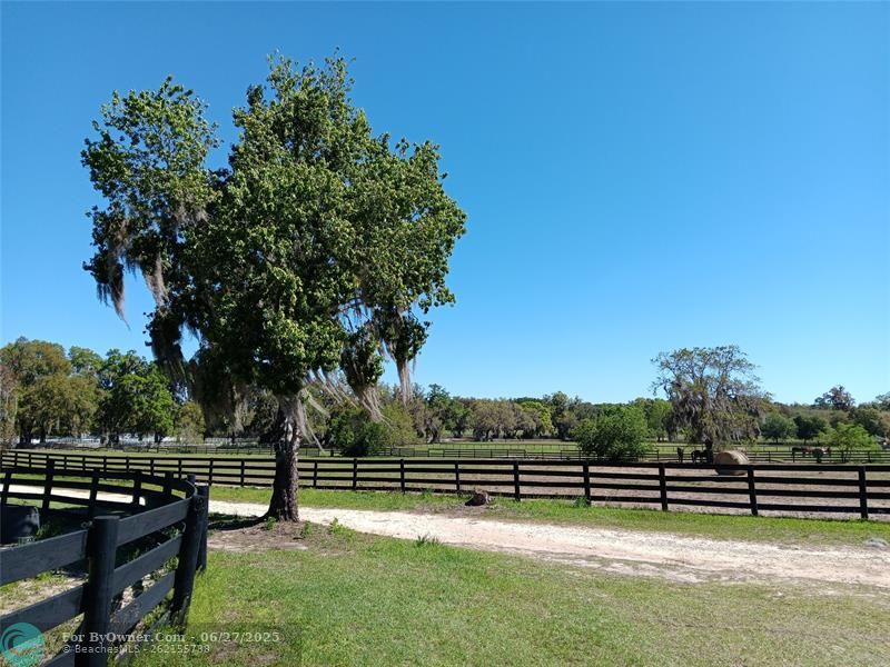2630 NW 140th St, Citra, Florida image 10