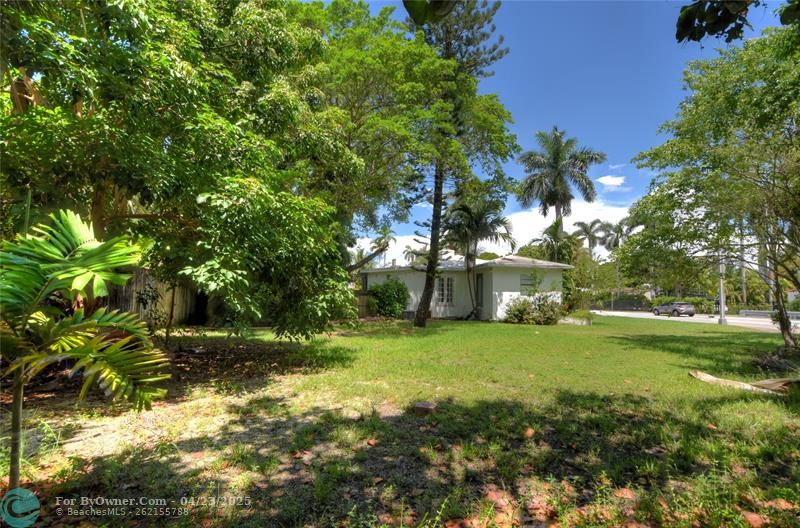 1050 NE 82nd St, Miami, Florida image 3