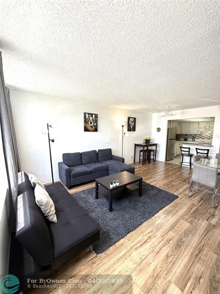Living and Kitchen View