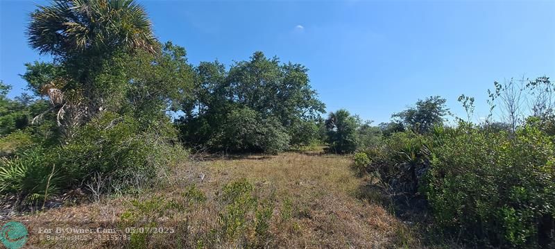 17537 NW 262nd St, Okeechobee, Florida image 5