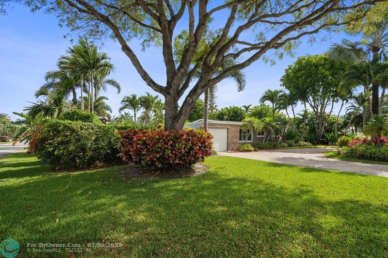409 NW 26th Ct, Wilton Manors, Florida image 3