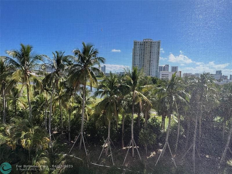 200 NE 14th Ave #522, Hallandale Beach, Florida image 2