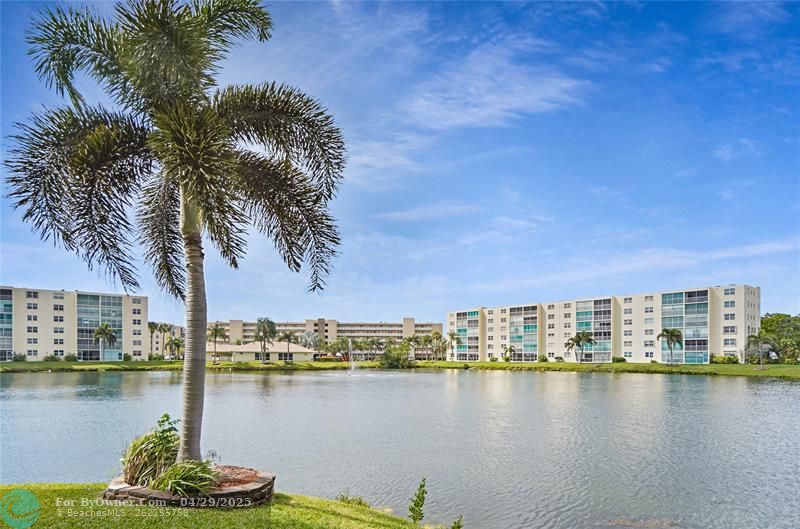 111 SE 3 Ave #306, Dania Beach, Florida image 2