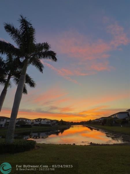 Back Yard View