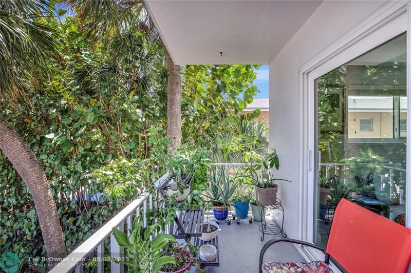 2715 NE 49th St #205, Fort Lauderdale, Florida image 30