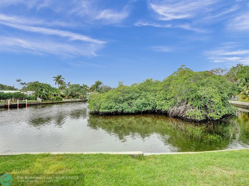 3000 NE 5th Ter #309A, Wilton Manors, Florida image 48