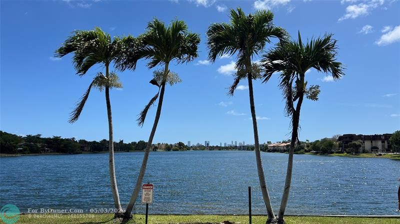 #221, Miami, Florida image 1