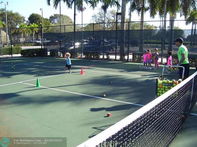 Multiple Tennis & Pickleball Courts in the city!