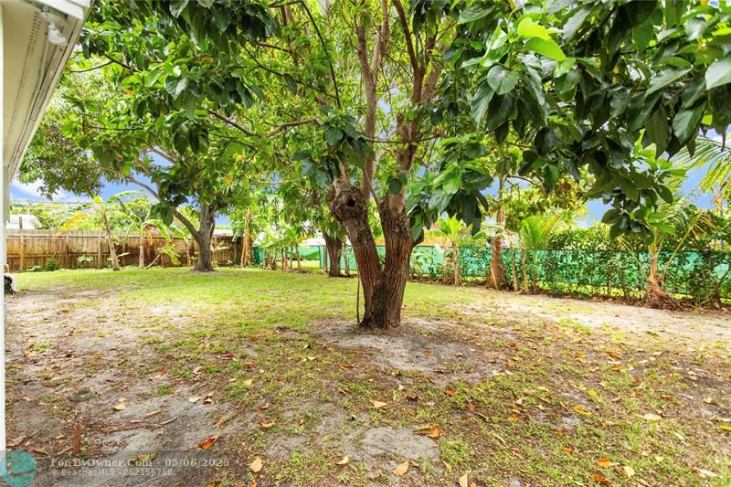 4151 NE 12th Ter, Pompano Beach, Florida image 39