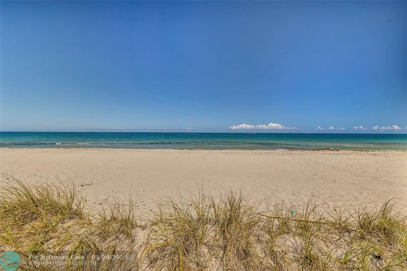 6000 N Ocean Blvd #6E, Lauderdale By The Sea, Florida image 11