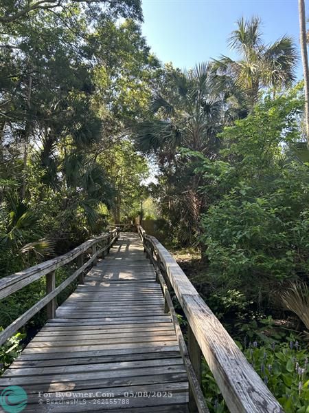 539 Lake Bridge Drive, Ormond Beach, Florida image 25