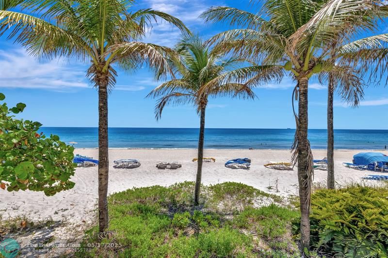 3500 Galt Ocean Dr #1005, Fort Lauderdale, Florida image 33