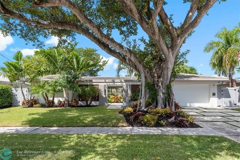 5821 NE 14th Way, Fort Lauderdale, Florida image 4