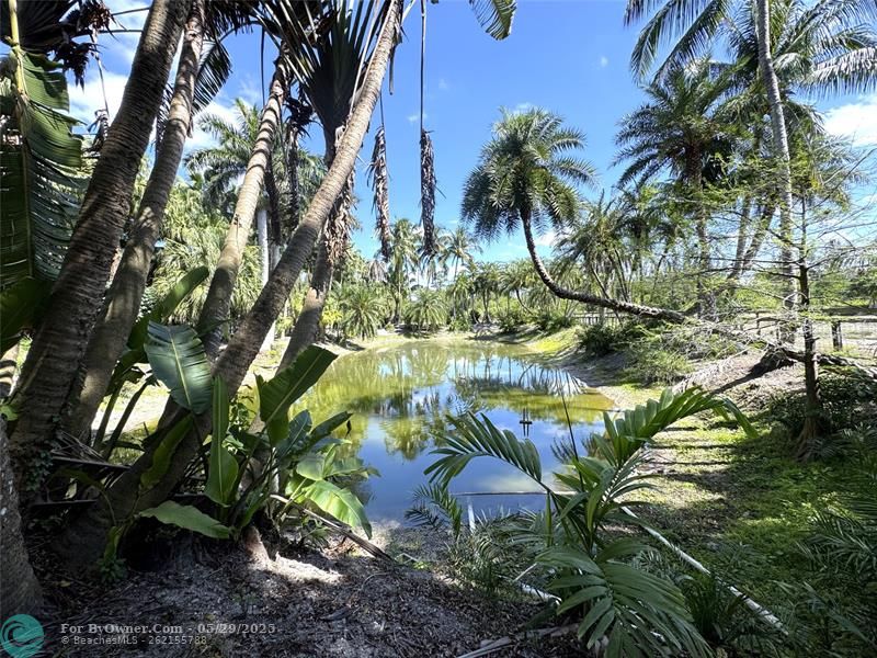 14344 North Road, Loxahatchee Groves, Florida image 11