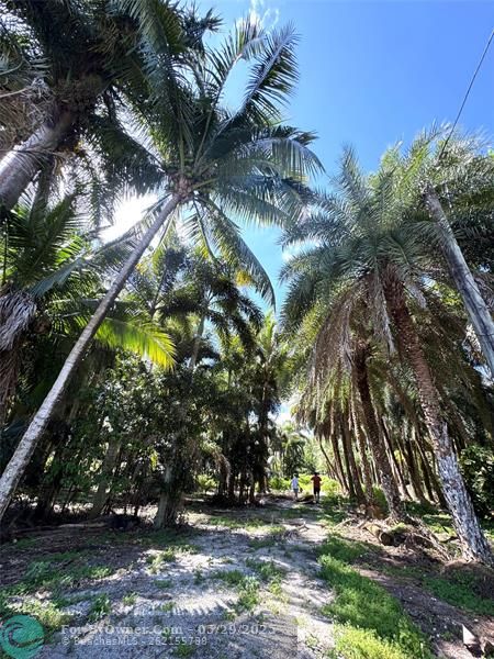 14344 North Road, Loxahatchee Groves, Florida image 13