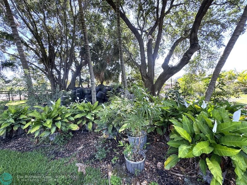 14344 North Road, Loxahatchee Groves, Florida image 15