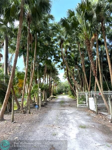 Driveway
