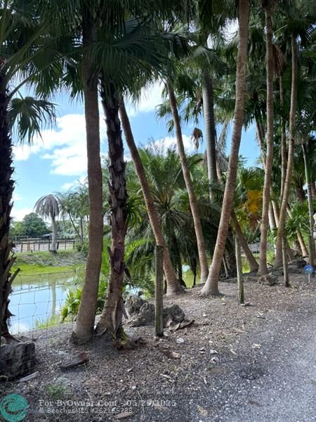 Driveway/Pond