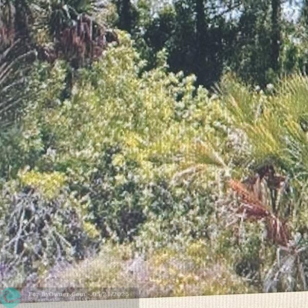 1812 Moore Ave, Lehigh Acres, Florida image 1