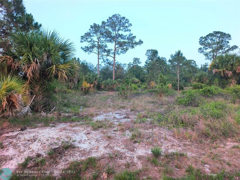 845 S Live Oak St, Clewiston, Florida image 1