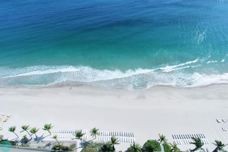 3900 Galt Ocean Dr #1004, Fort Lauderdale, Florida image 2