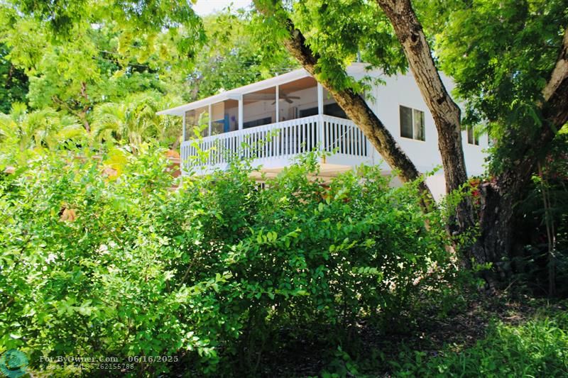 141 Gumbo Limbo Dr, Key Largo, Florida image 12