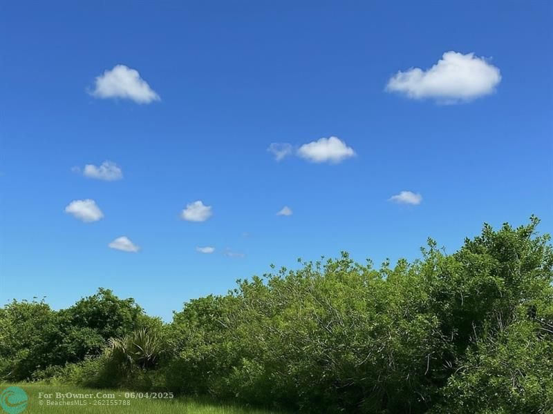6617 SE 26th Trl, Okeechobee, Florida image 3