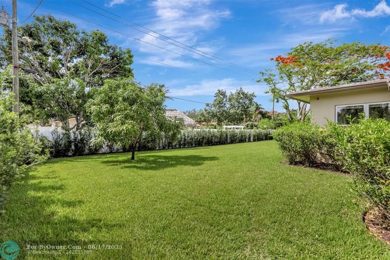 362 S Fig Tree Ln, Plantation, Florida image 39