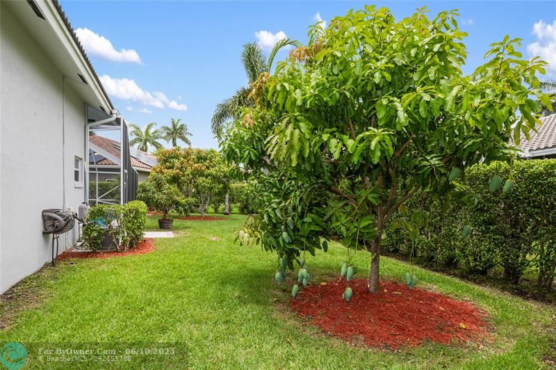 4940 Kensington Cir, Coral Springs, Florida image 41