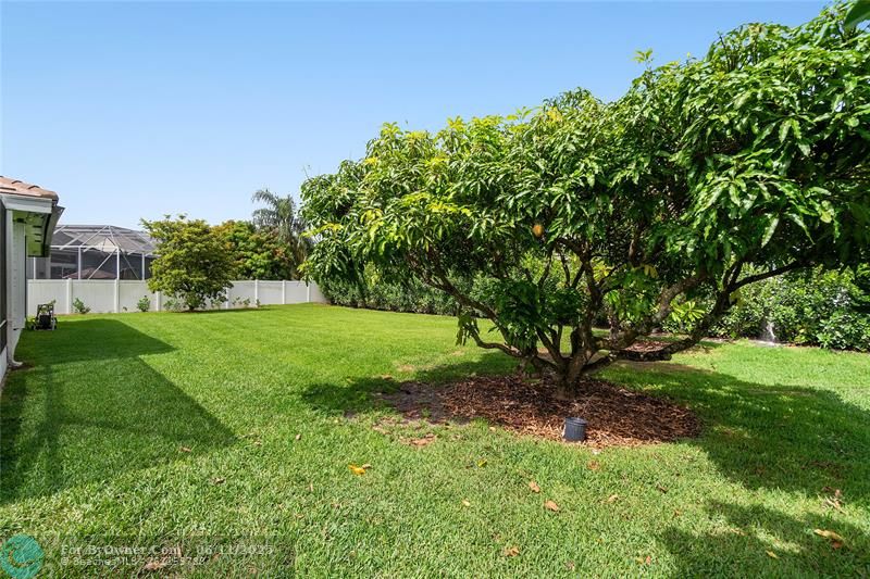 4307 Danielson Dr, Lake Worth, Florida image 30